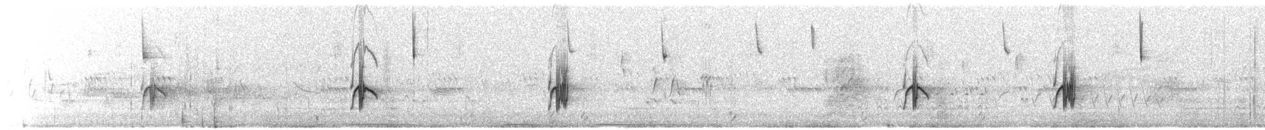 Gray Flycatcher - ML639075960