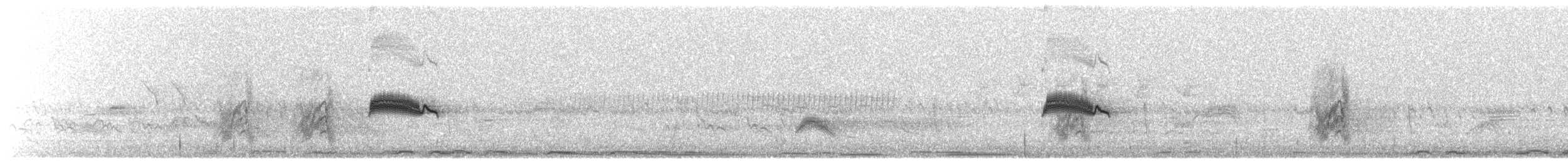 Western Wood-Pewee - ML639076008