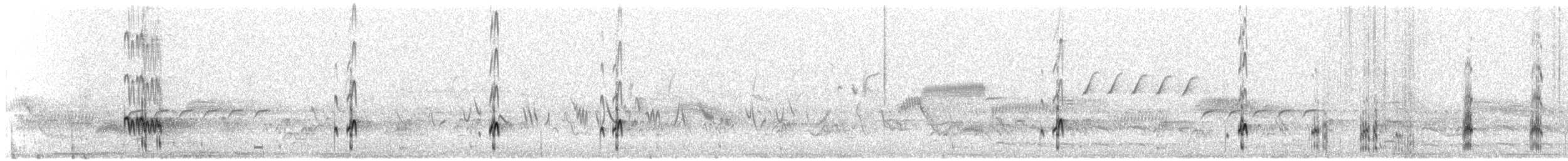 Cassin's Kingbird - ML639076031