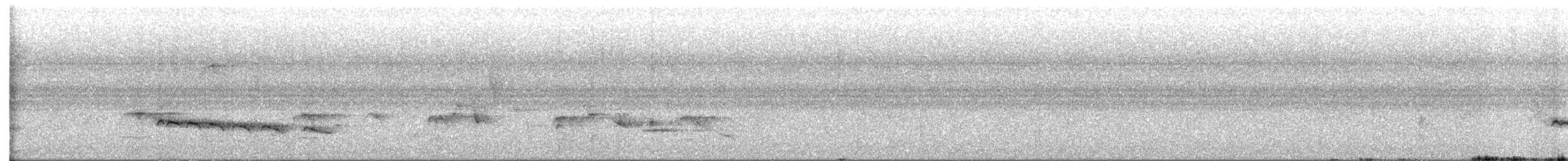 Little Bronze-Cuckoo (Gould's) - ML639077203