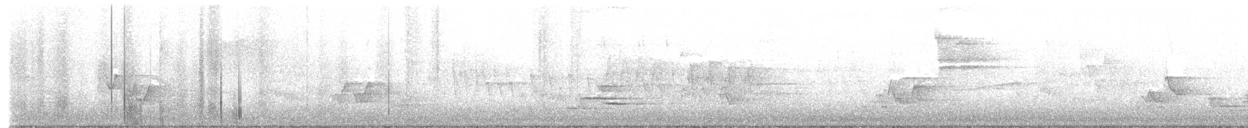 Wood Thrush - ML639077484