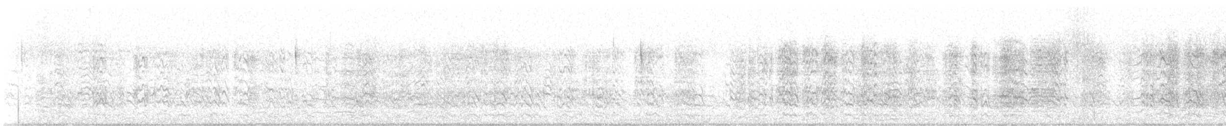 Spitzschwanzsittich - ML639078061