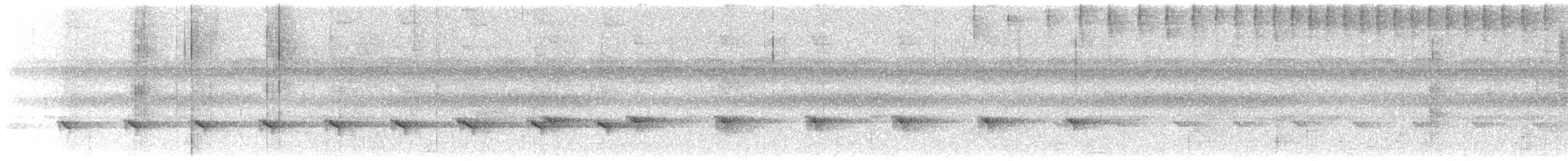Bambusameisenwürger - ML639078124