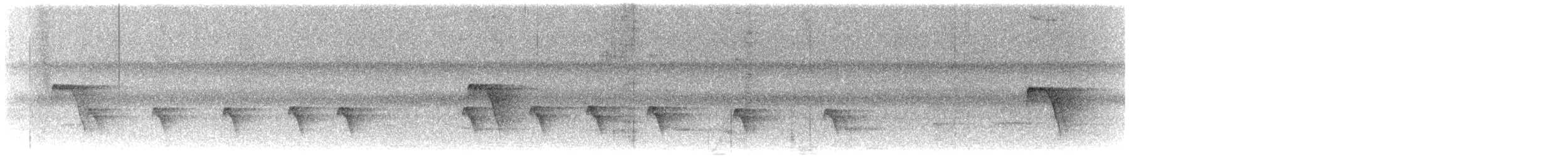 Tropfenflügel-Ameisenfänger - ML639078129