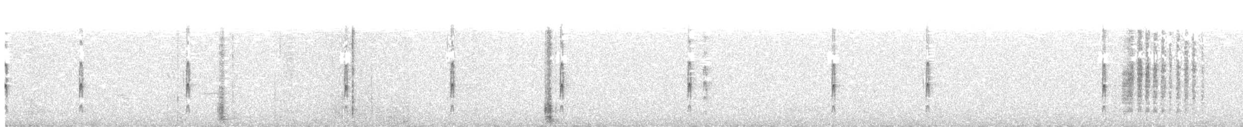 Schmalschnabel-Königstyrann - ML639078437