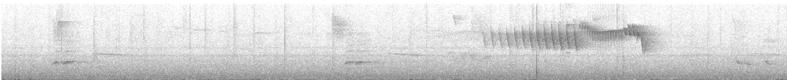 Tropical Parula (South American) - ML639079563