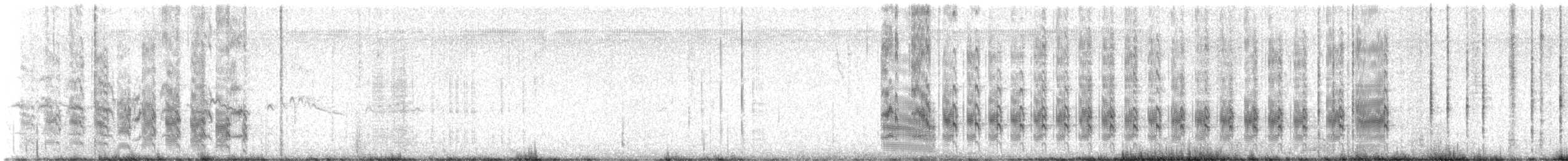 Forster's Tern - ML639080936