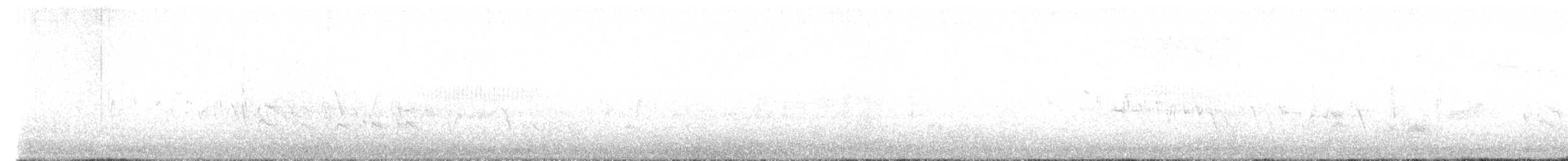 Cassin's Kingbird - ML639081440