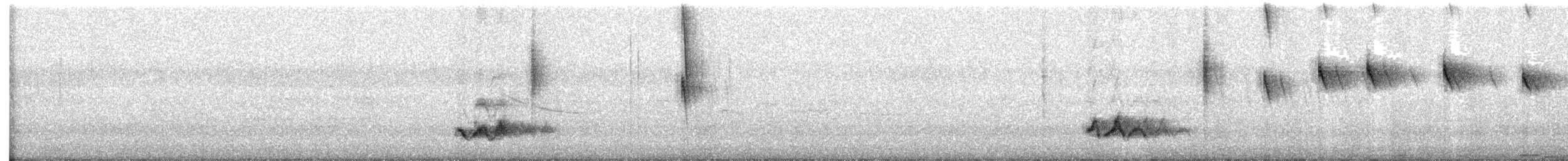 tropespottefugl - ML639082863