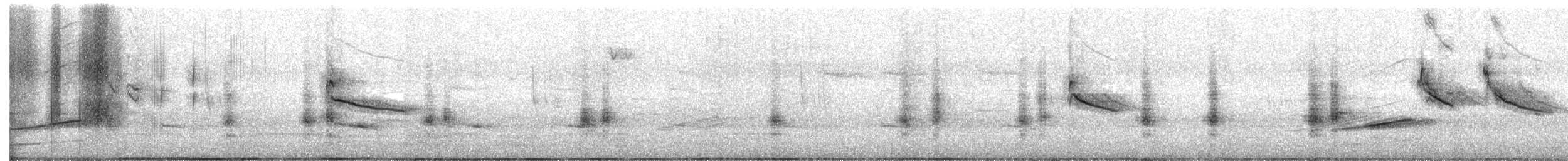 småstillits - ML639082897