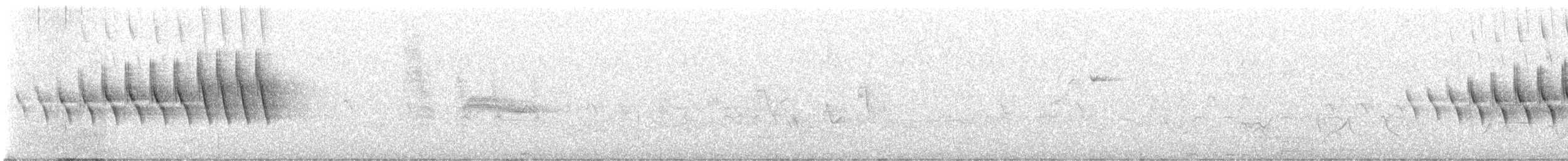 Grace's Warbler - ML639083220