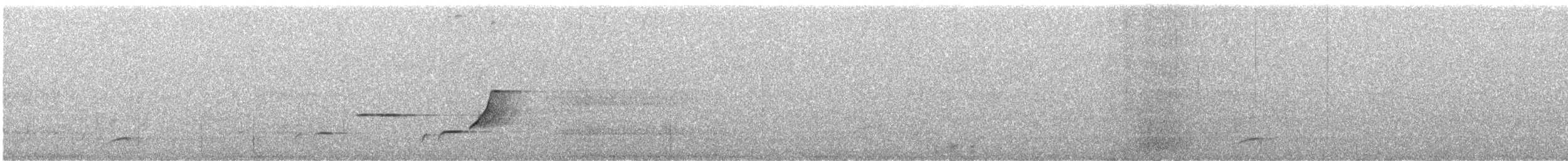 Pycnoptile compagnon - ML639083304