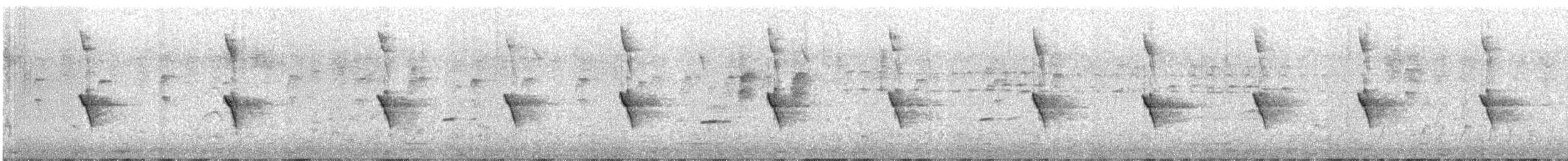 New Holland Honeyeater - ML639084609