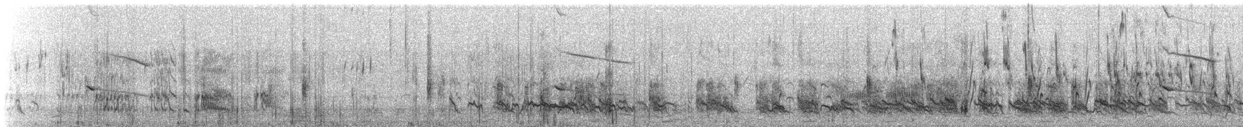 Stilt Sandpiper - ML639085667