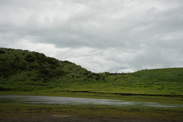 阿蘇市--草千里ヶ浜(Aso--Kusasenri), Minamiaso, Kumamoto, Japan