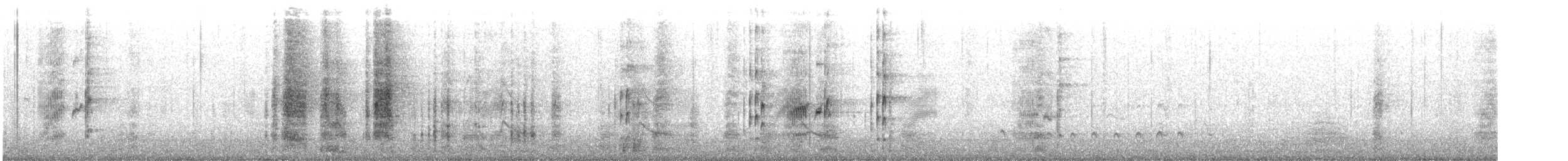 Apôtre gris - ML639092422