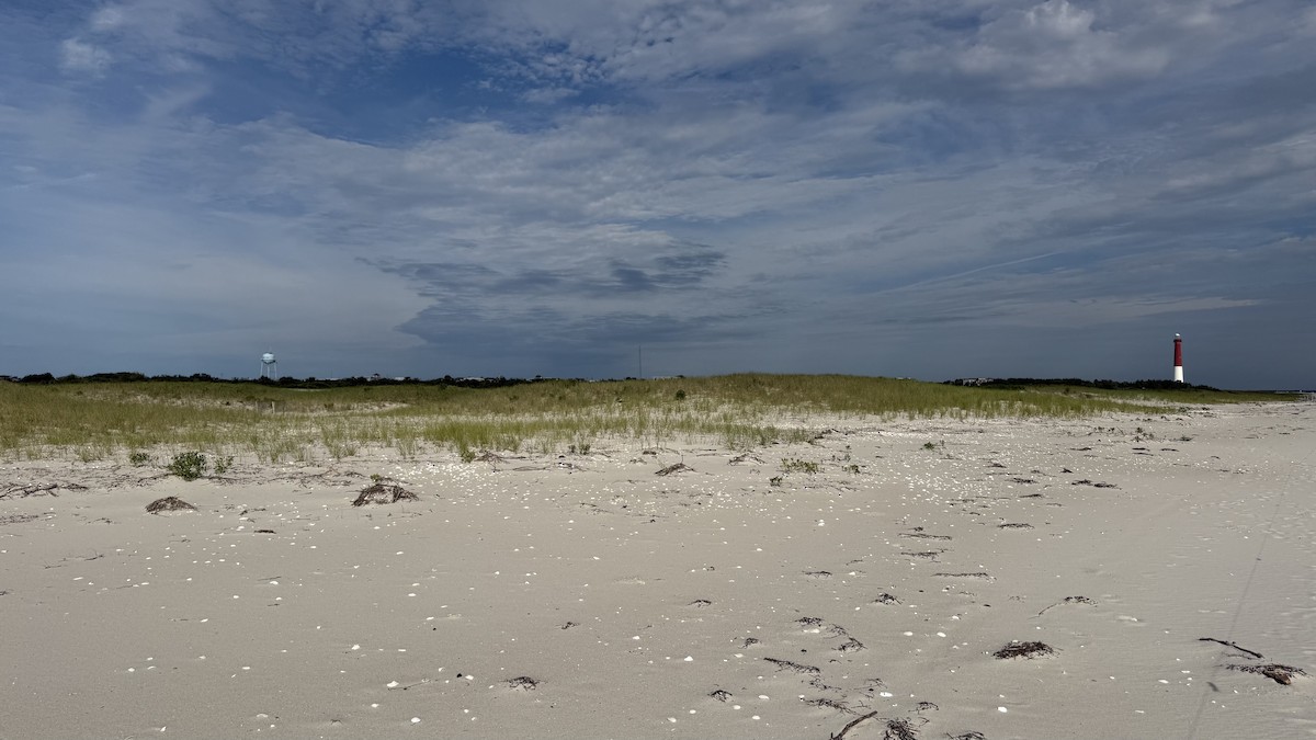 null - ML639098086