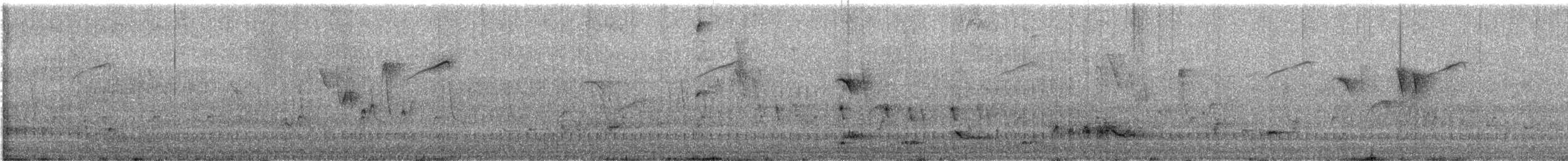 White-rumped Shama - ML639101013