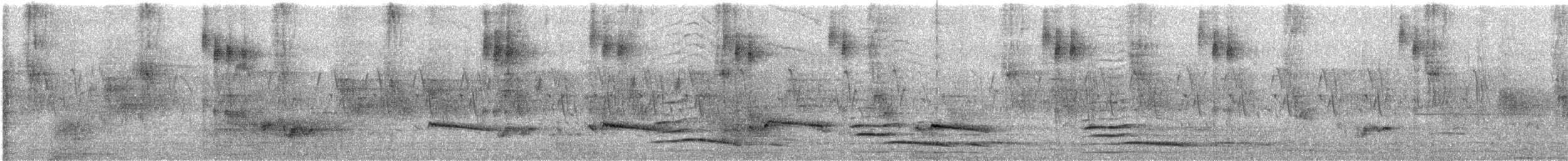 Gray-bellied Cuckoo - ML639101235