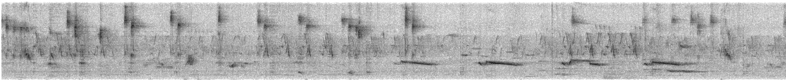 Gray-bellied Cuckoo - ML639101236