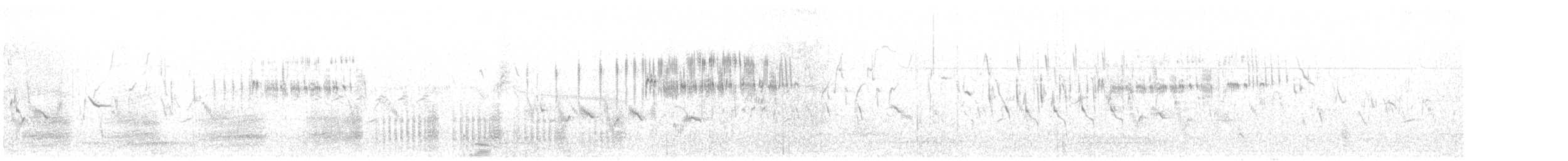 mandelík hajní - ML639105291