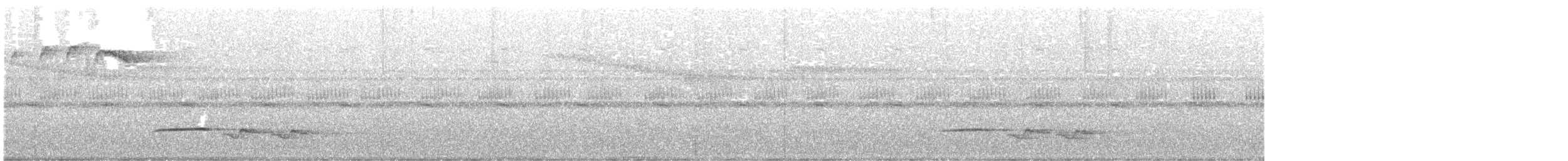 White-breasted Wood-Wren - ML639106697