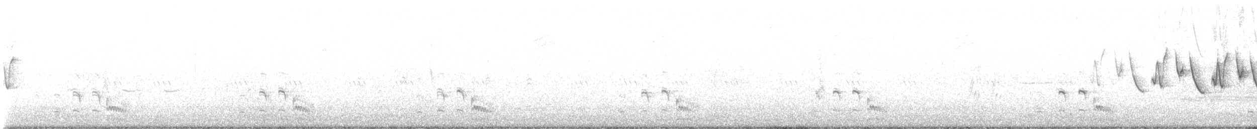 Black Rail - ML639107499