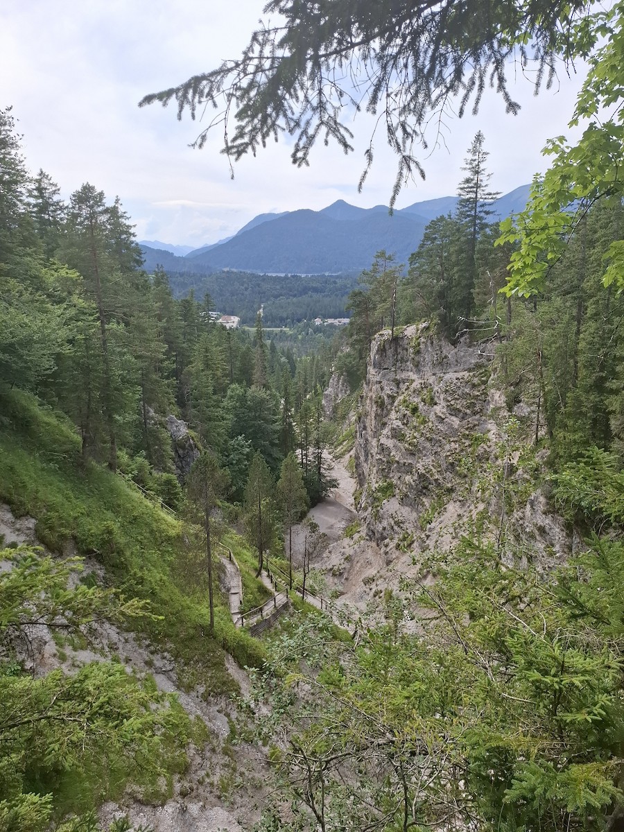 null - ML639109234