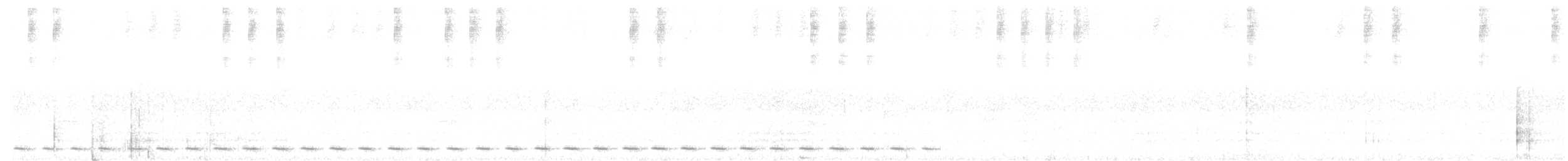 アンデスオオコノハズク（colombianus） - ML639109562
