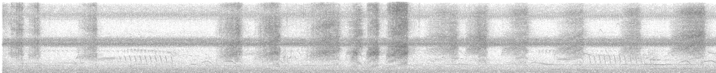 Gray-backed Fiscal - ML639116235