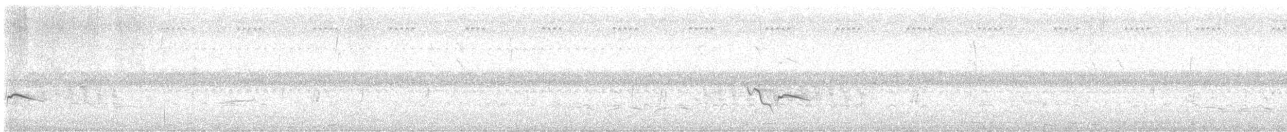 Cape Wagtail - ML639117160