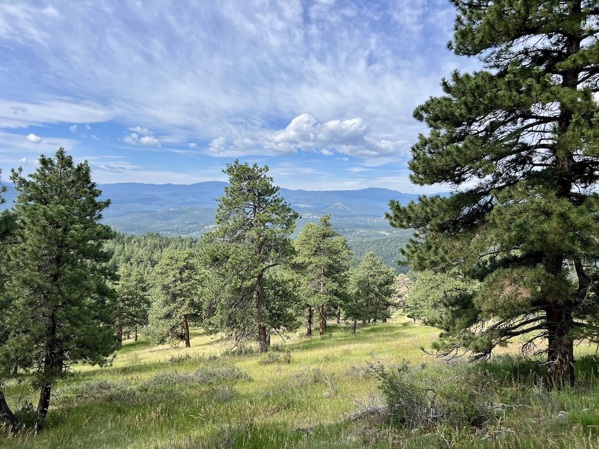 null - ML639117222