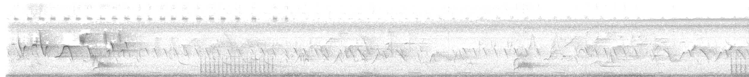 Red-headed Woodpecker - ML639117275