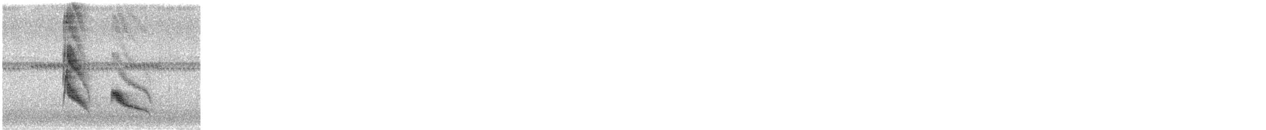 エボシキクタイランチョウ - ML639118147