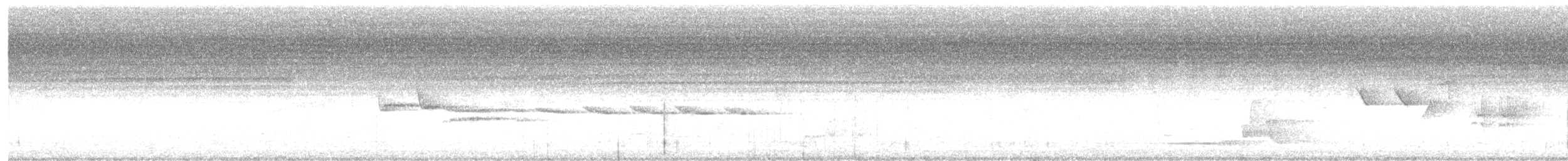 Blue-and-white Flycatcher - ML639121943