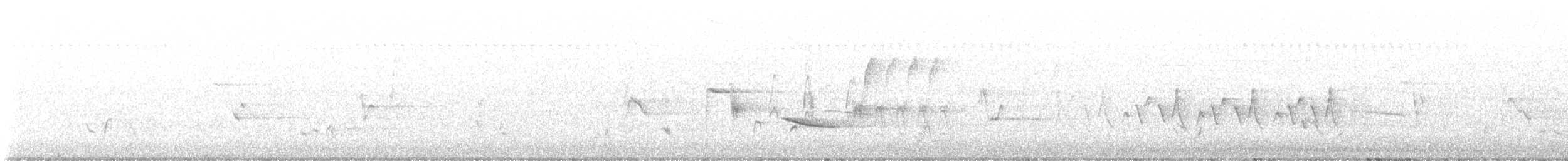 rødsidetovi - ML639122838