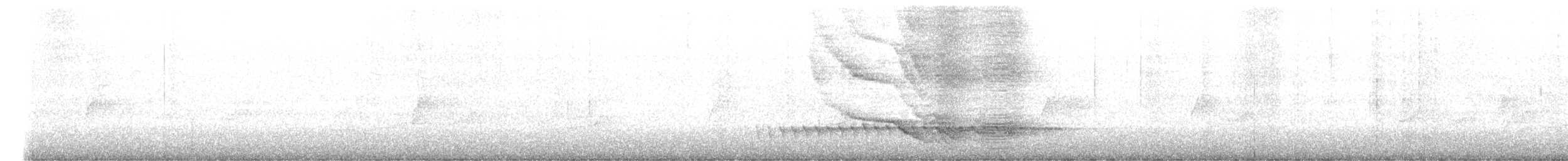 Green Catbird - ML639123575