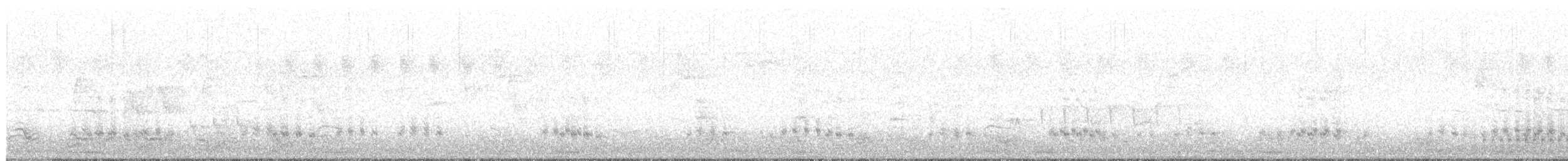 Цоохор тоншуул - ML639124821