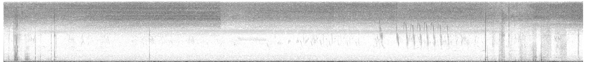 Sedge Wren - ML639128472