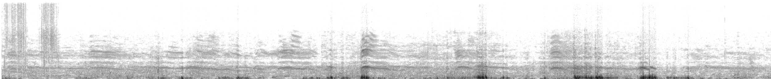 Brown-hooded Gull - ML639129086