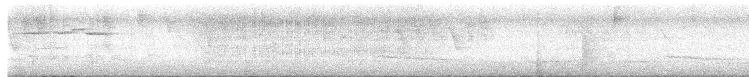 Tufted Antshrike - ML639130030