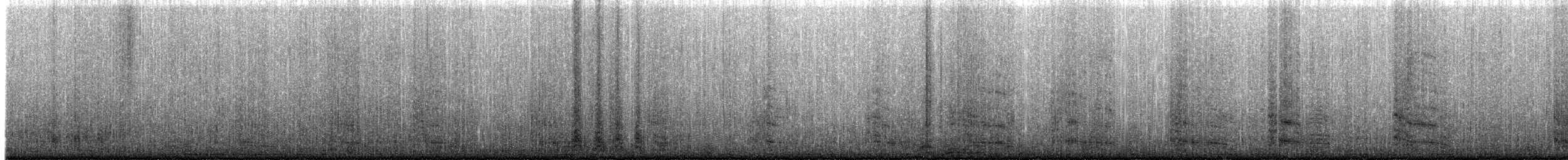 Kelp Gull - ML639132414