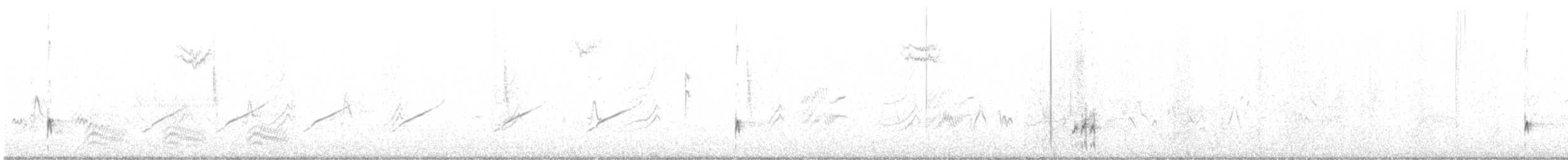 Ash-throated Flycatcher - ML639136716