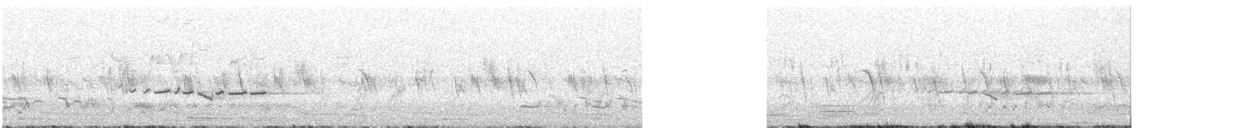 Gray Bushchat - ML639137589