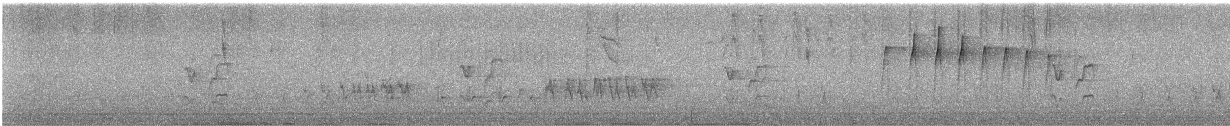 Streaked Xenops - ML639138243