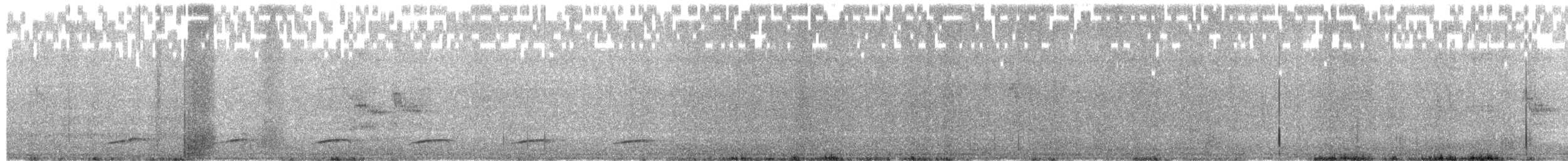 Common Scimitarbill - ML639143040