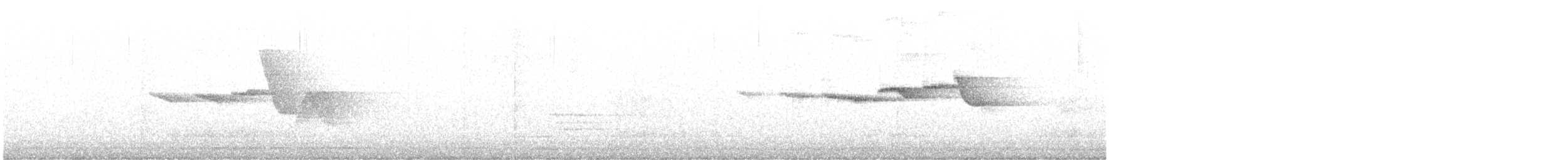 Swainson's Warbler - ML639143268