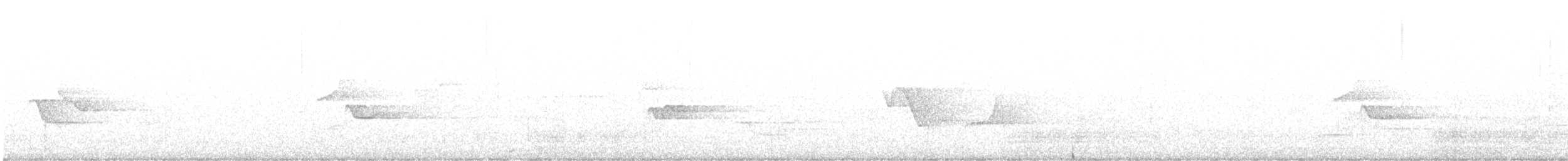 Blue-headed Vireo - ML639143271