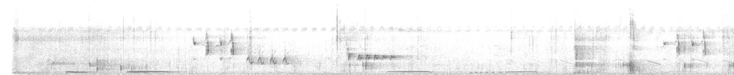 Spinifex Pigeon - ML639143458
