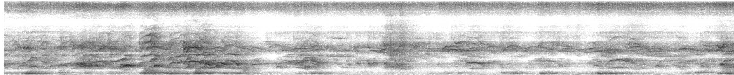 Franklin's Gull - ML639147206